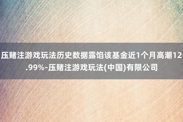 压赌注游戏玩法历史数据露馅该基金近1个月高潮12.99%-压赌注游戏玩法(中国)有限公司