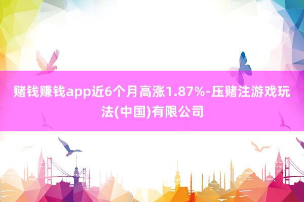 赌钱赚钱app近6个月高涨1.87%-压赌注游戏玩法(中国)有限公司