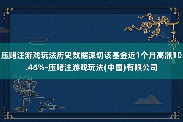 压赌注游戏玩法历史数据深切该基金近1个月高涨10.46%-压赌注游戏玩法(中国)有限公司