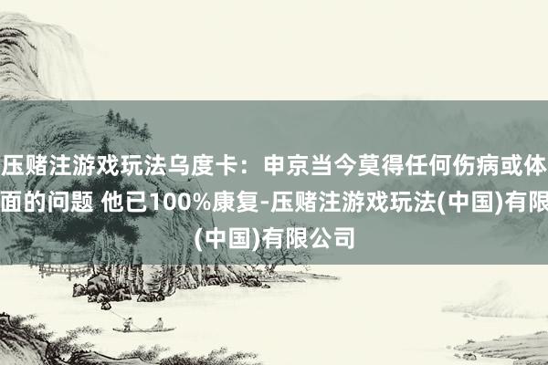 压赌注游戏玩法乌度卡：申京当今莫得任何伤病或体魄方面的问题 他已100%康复-压赌注游戏玩法(中国)有限公司