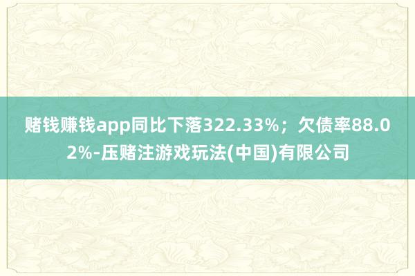 赌钱赚钱app同比下落322.33%；欠债率88.02%-压赌注游戏玩法(中国)有限公司