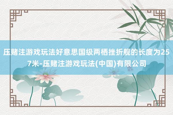 压赌注游戏玩法好意思国级两栖挫折舰的长度为257米-压赌注游戏玩法(中国)有限公司